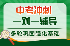 南京云巨石教育中考沖刺一對一輔導